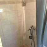 Zebra Appartement