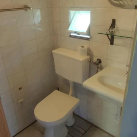 Zebra Apartament *